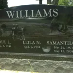 Williams-front